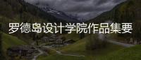 罗德岛设计学院作品集要求详解