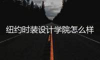 纽约时装设计学院怎么样？