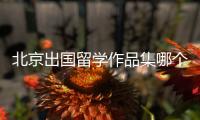 北京出国留学作品集哪个机构好？