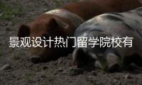 景观设计热门留学院校有哪些？