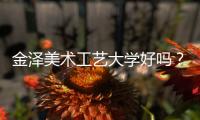 金泽美术工艺大学好吗？