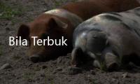 Bila Terbukti Merekayasa Kasus Terorisme Bekasi, Kapolri Siap Dicopot