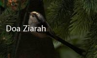 Doa Ziarah Kubur saat Idul Adha 2024 Lengkap dengan Artinya