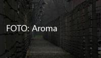 FOTO: Aroma 'Mahal' Kemenyan di Tanah Oman