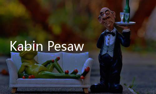Kabin Pesawat Air India Bocor Saat Terbang, Penumpang Panik