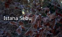 Istana Sebut Belum Ada Rencana Reshuffle Kabinet Sampai Saat Ini