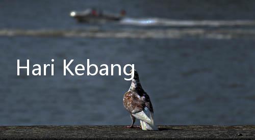 Hari Kebangkitan Nasional, Jokowi: Mari Bangkitkan Semangat Nasionalisme