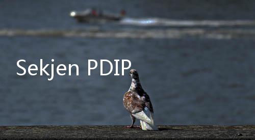 Sekjen PDIP Singgung Pemerintahan Ngemis Investor Untuk Pembangunan IKN