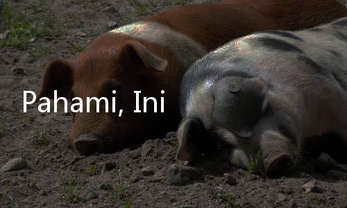 Pahami, Ini 7 Alasan Kopi Hitam Lebih Menyehatkan Dibanding Teh