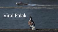 Viral Palak Pekerja Provider Internet di Cengkareng Rp 1,5 Juta, 2 Oknum Ormas Dibekuk